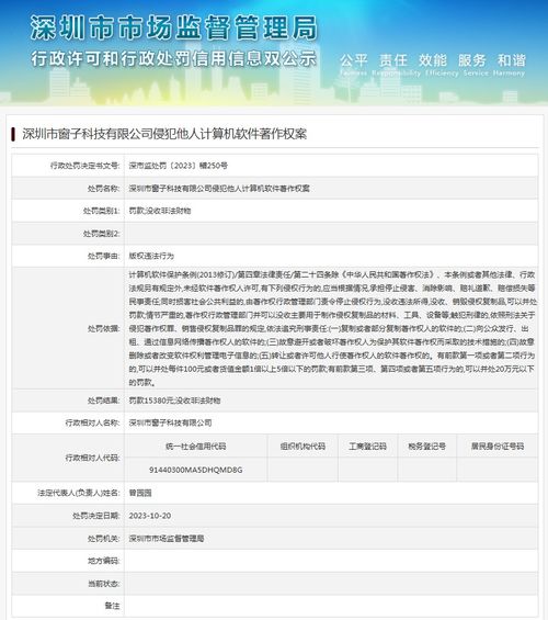 深圳市窗子科技侵犯他人計算機軟件著作權(quán)案的法律解讀與技術(shù)服務(wù)啟示