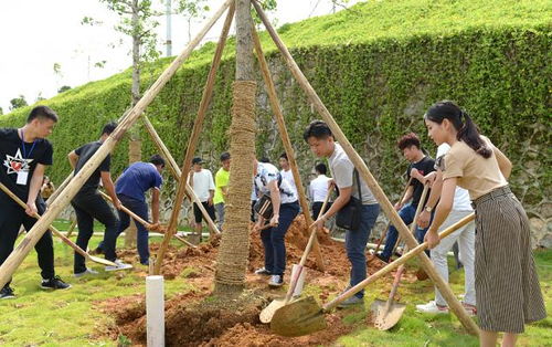 十年樹木，百年樹人——2017屆畢業生種植紀念樹活動圓滿舉行